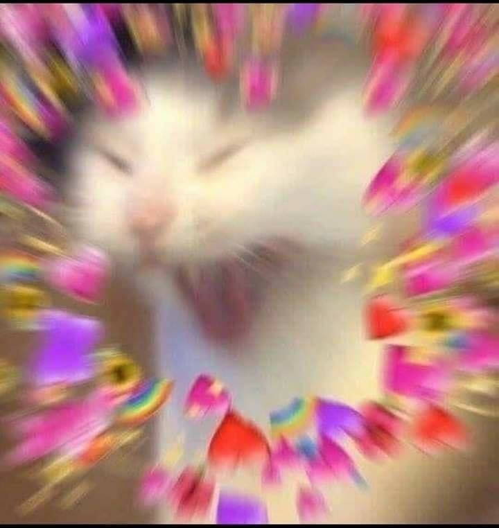 亡兔今天猛吐.exe tweet media