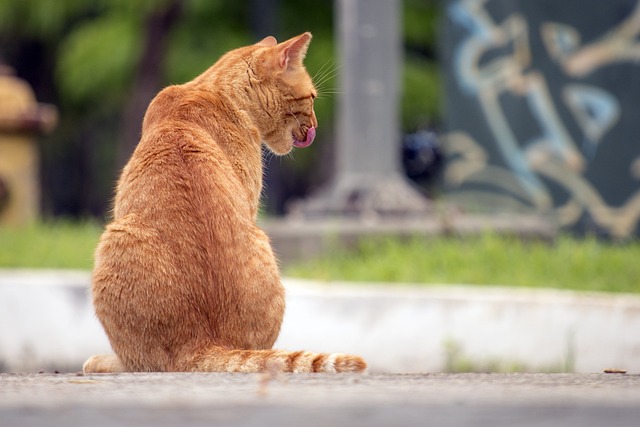 Stephen Love tweet media