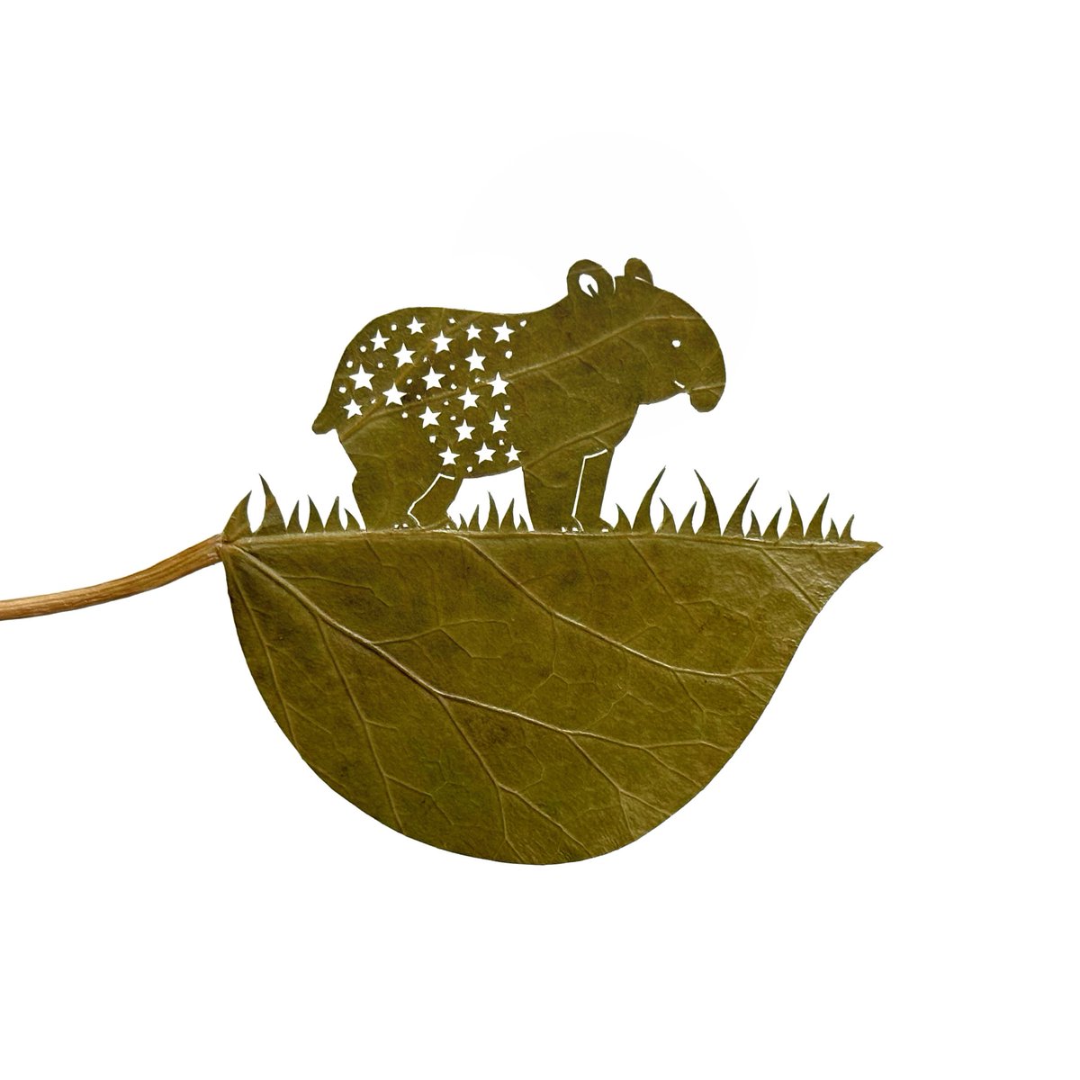 リト@葉っぱ切り絵 tweet media