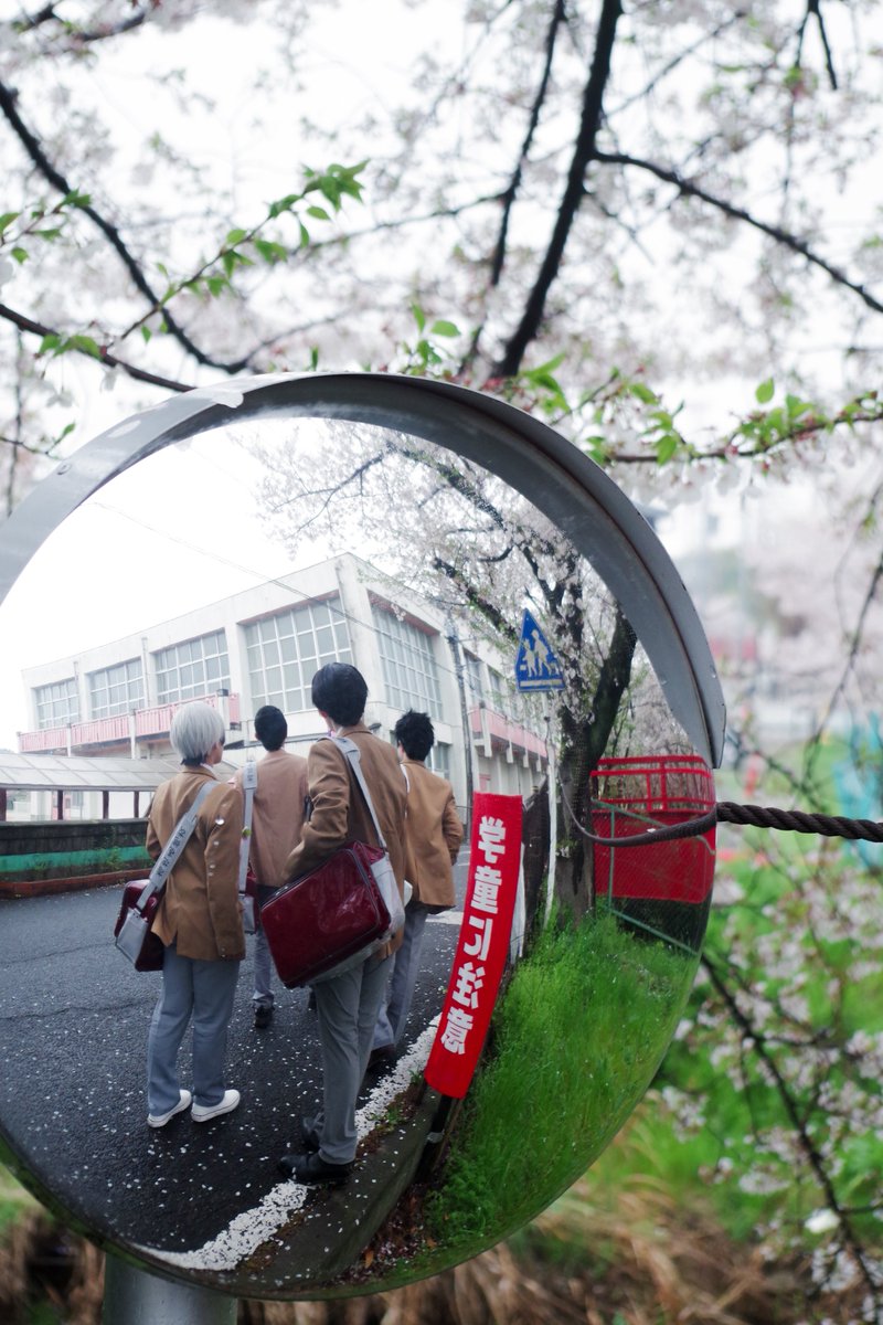 SHACHO。🌈✨4/4🦊4/5🐈5/6？ tweet media