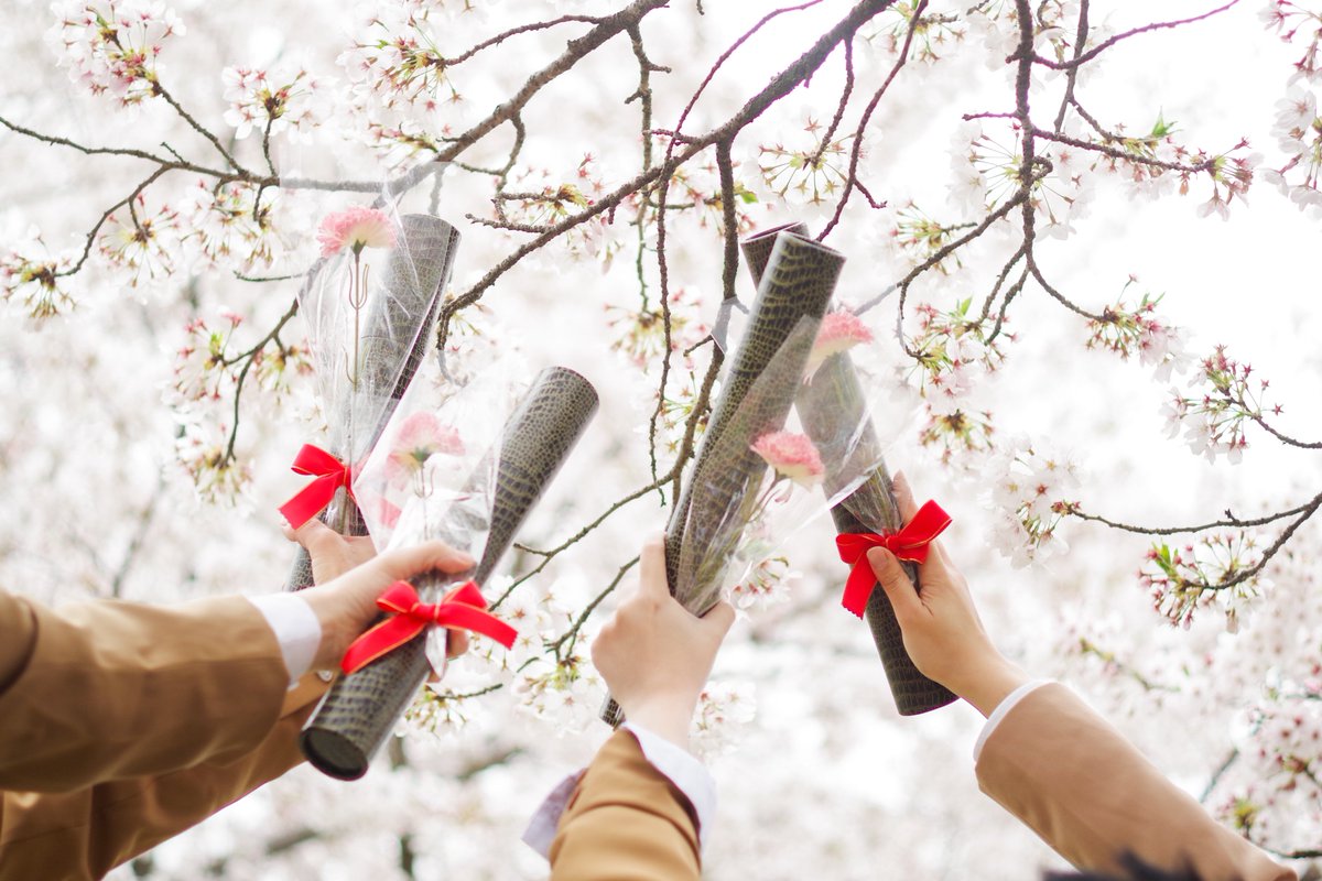 SHACHO。🌈✨4/4🦊4/5🐈5/6？ tweet media