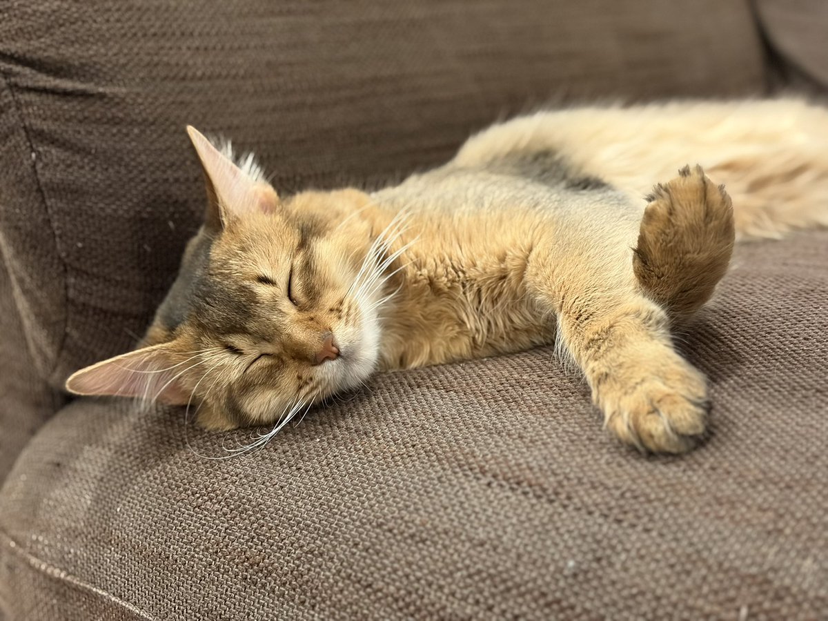 尊厳死 tweet media