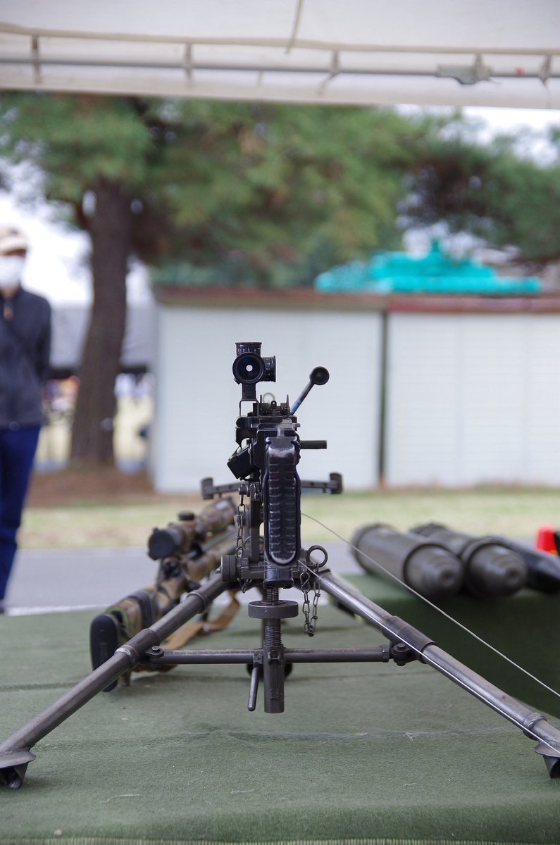 サカ熊 tweet media