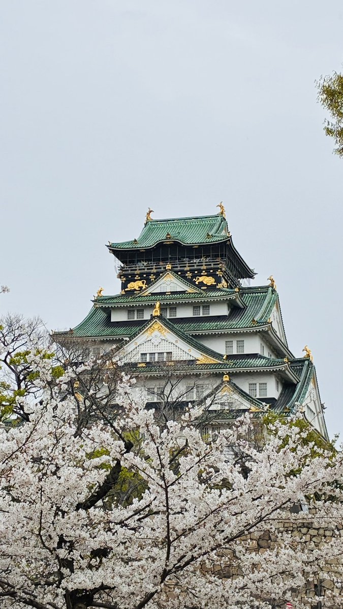 拝師みほ✲やしみん tweet media