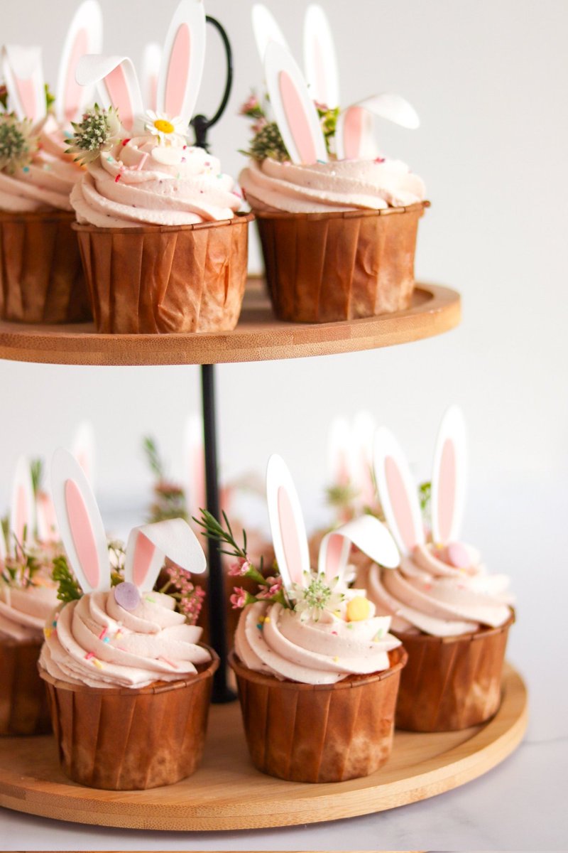 Strong Women, Strange Worlds tweet media