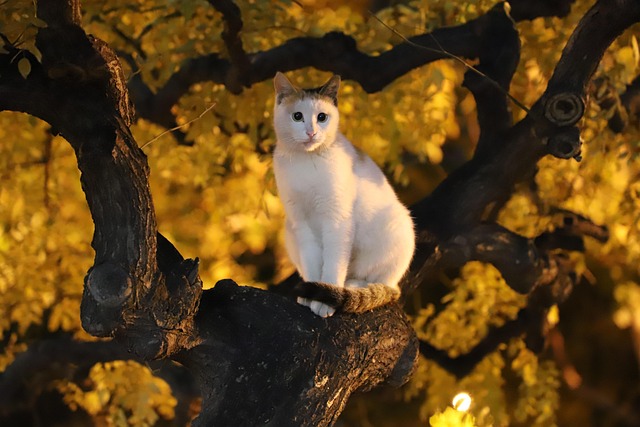 Karen Anderson tweet media