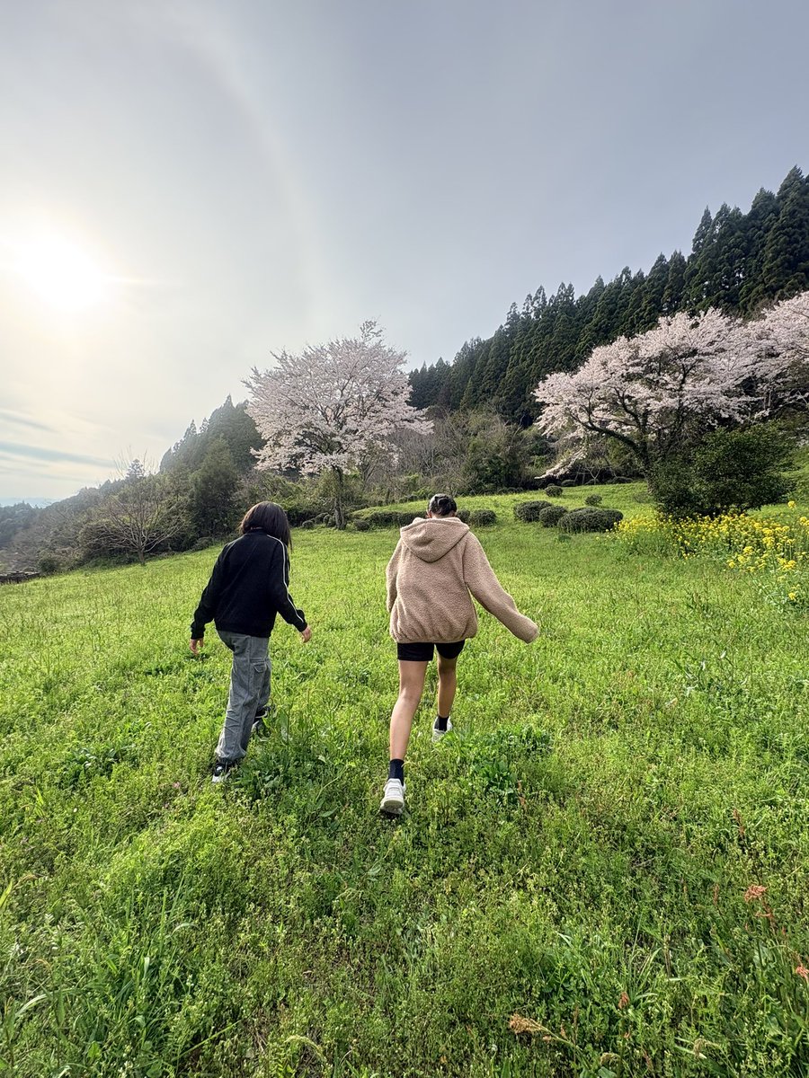 gyaaamy's tweet photo. 楽しいのに心が笑ってない
あーなみだとまらない
もつずっとずっと迷路の中 https://t.co/og73lmoQTF