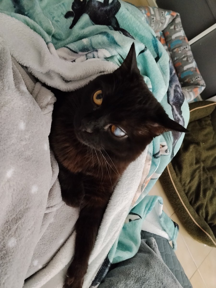 Neus Pique tweet media