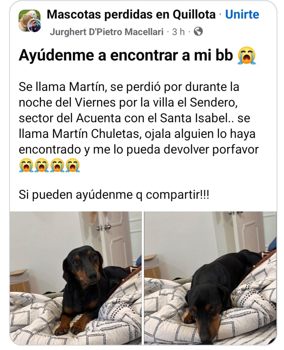 PerrosSalchichas.cl tweet media