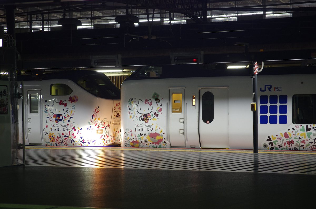 haruobb＠Photos tweet media