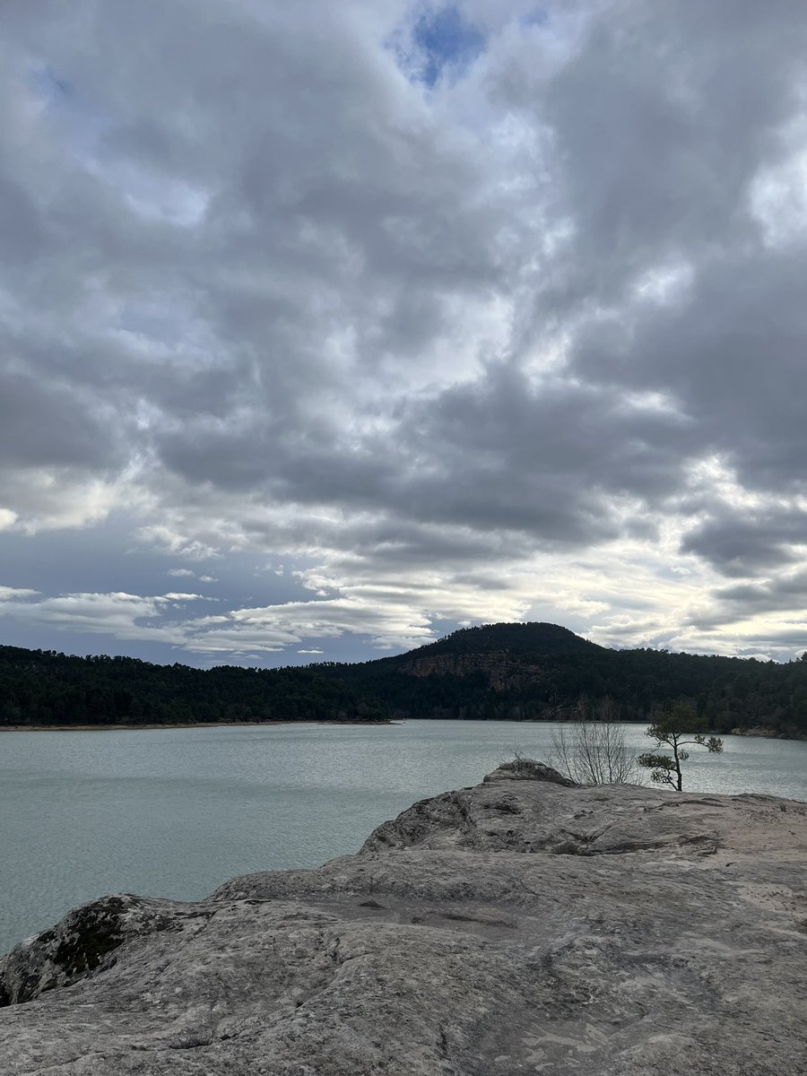 Jesus🦝🇵🇸🇨🇩🇸🇩 tweet media