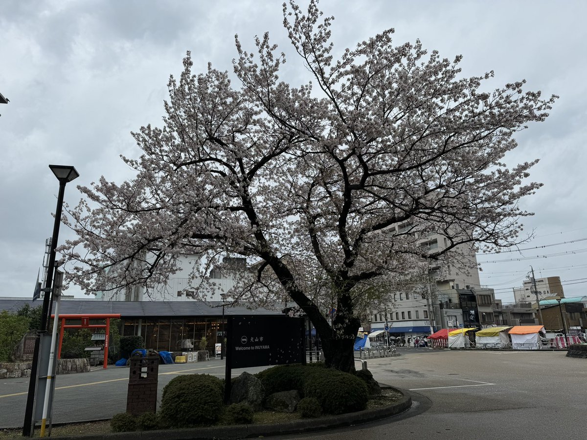 どるふぃん@#WCF0913出演/秋季例大祭12 つ-16b tweet media