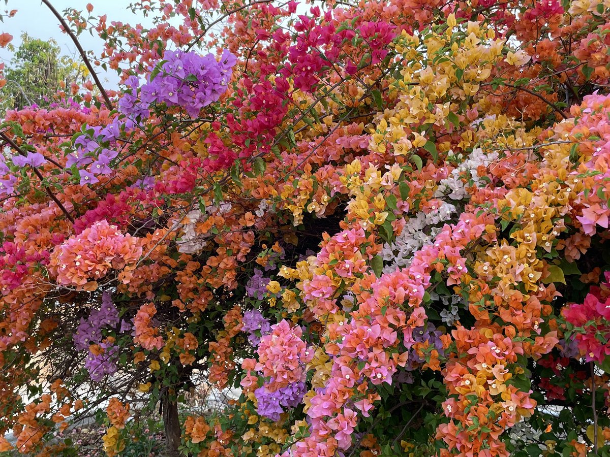 Tomoki SANDO tweet media