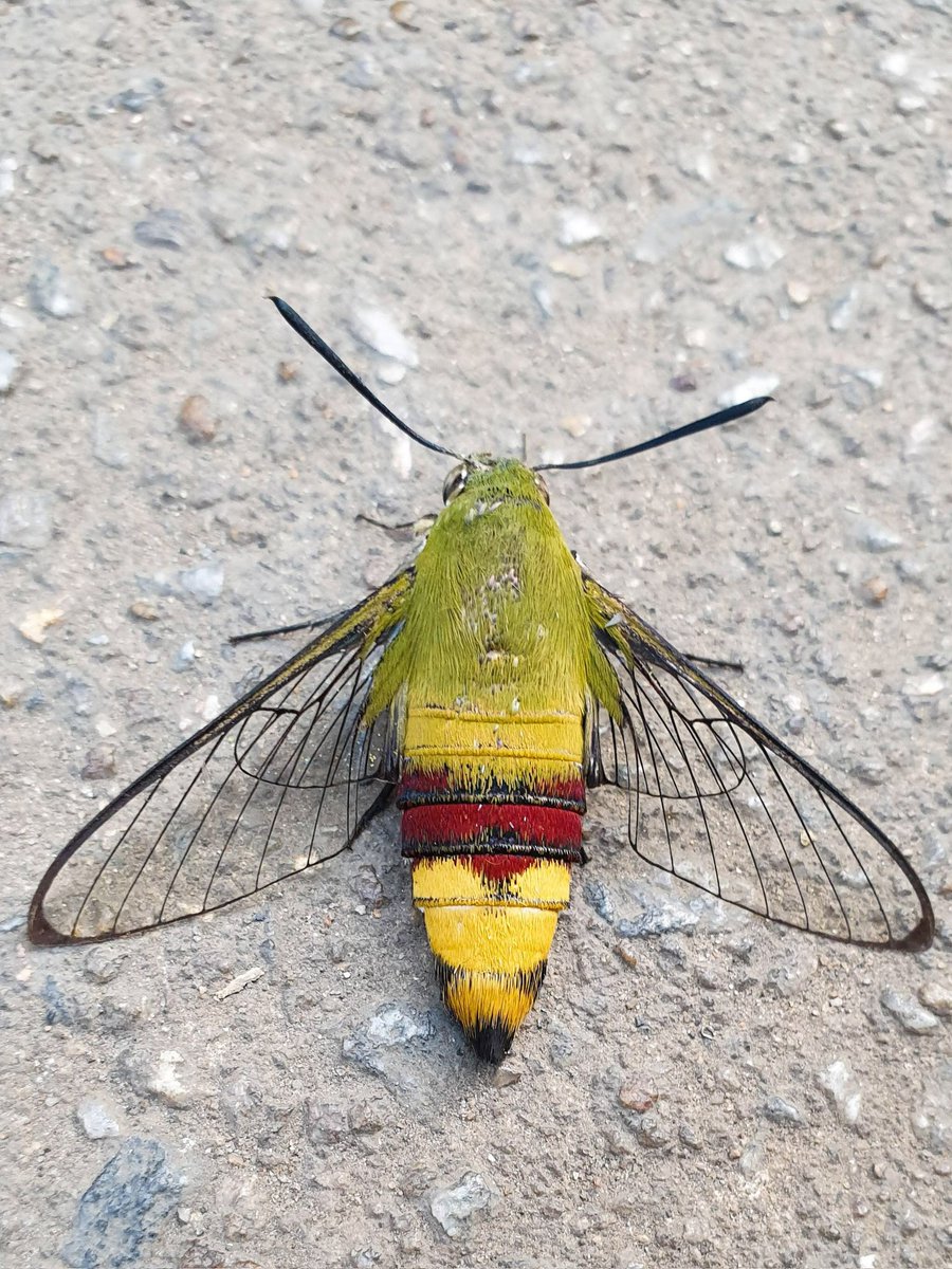 Ajay Dewan 🇮🇳 tweet media