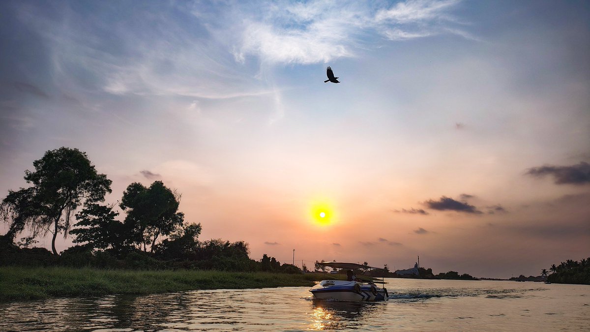 Vince masuka tweet media