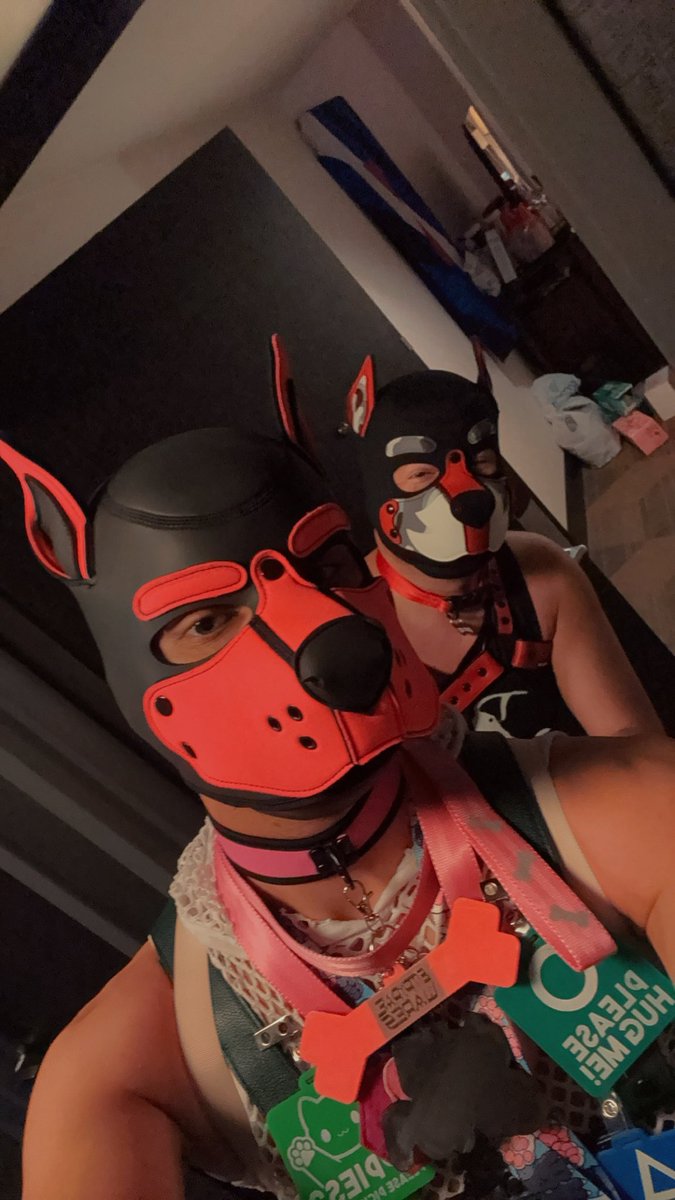 Subtle🔜TORTUGA tweet media