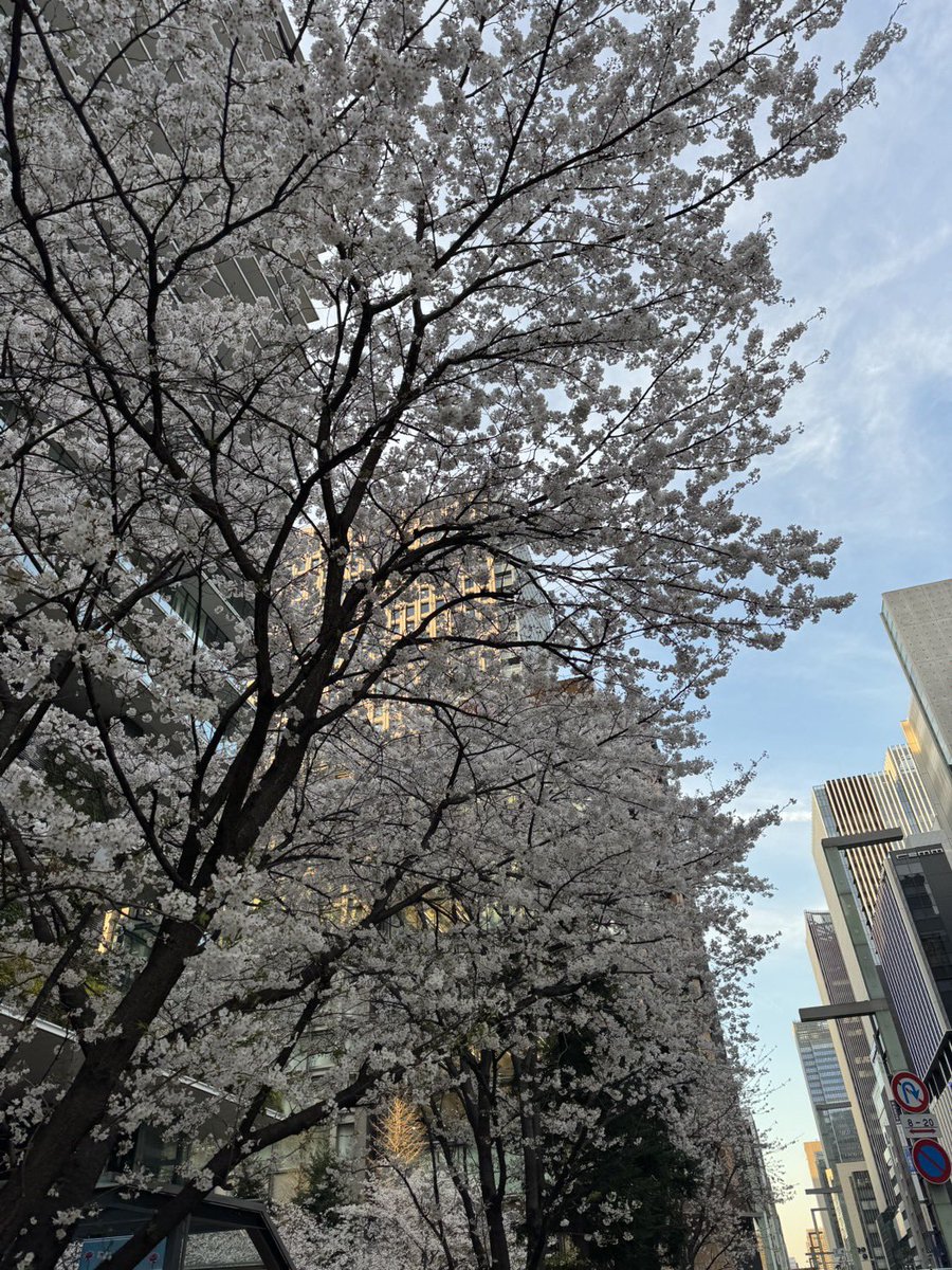 アンサンブル・コノハ【公式】 tweet media