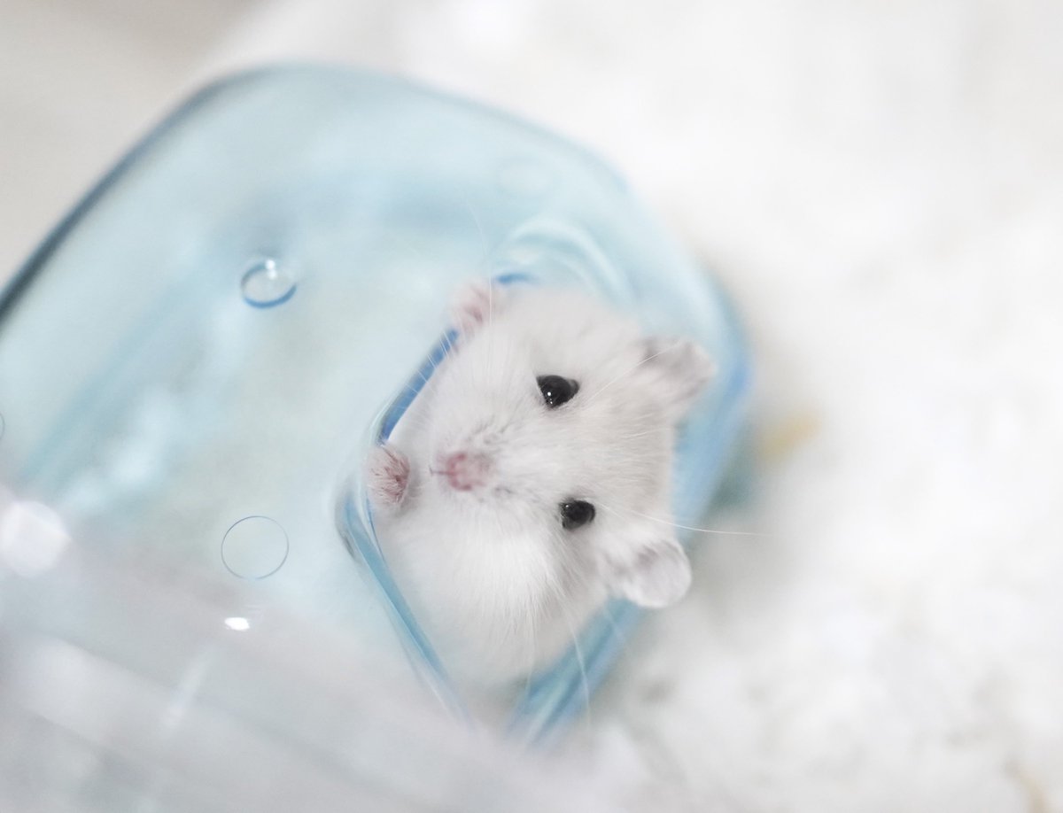 なてぃ子. tweet media