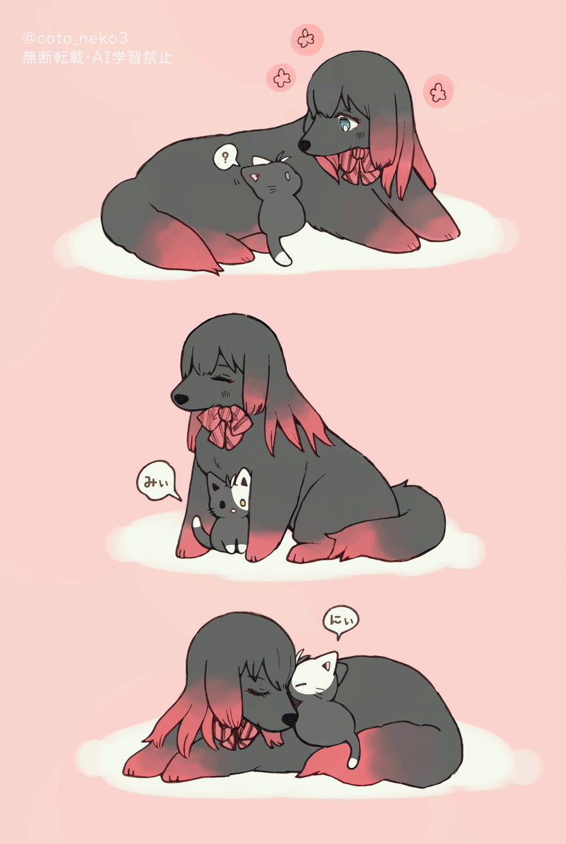 coto🐈‍⬛🌸🐺 tweet media