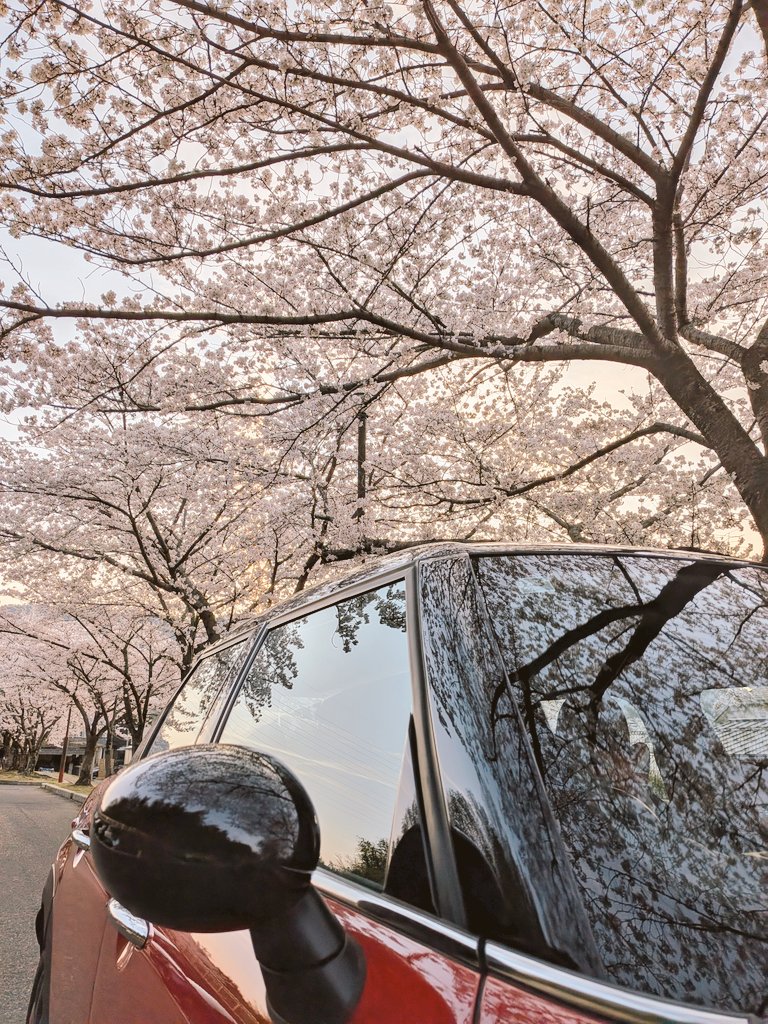 ダルク tweet media