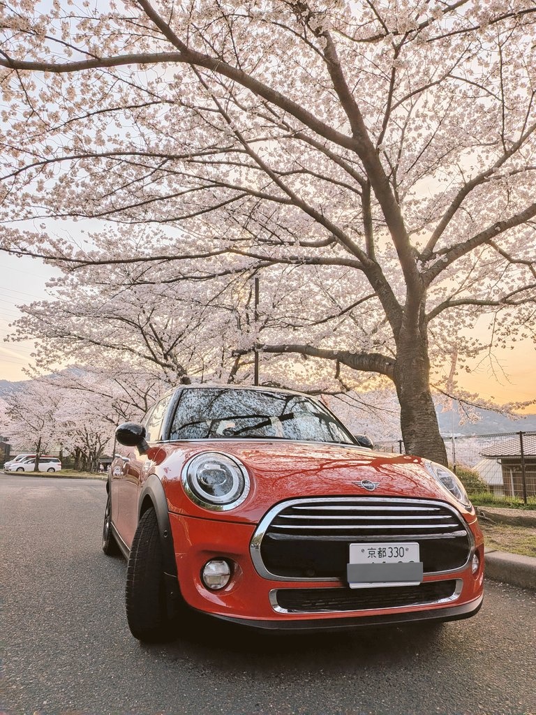 ダルク tweet media