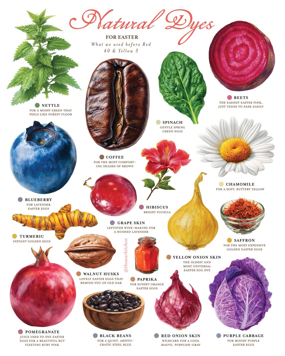 𝗥𝗢𝗖𝗞𝗬 tweet media