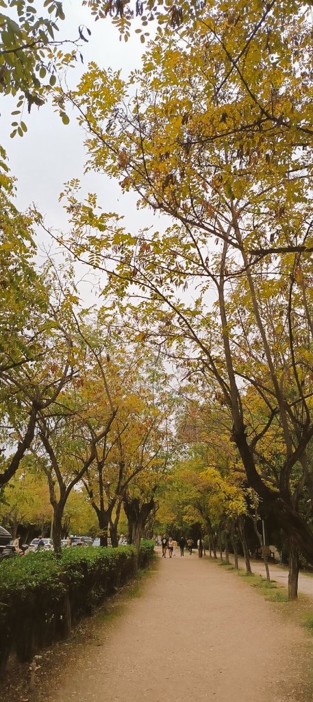 Jan Ritz tweet media