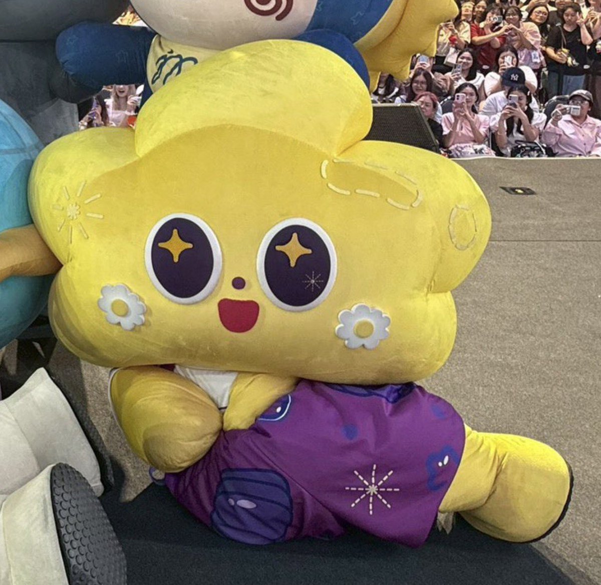 มอสอ🎀 𝘧𝘵.𝘙𝘰𝘮𝘦𝘙𝘢𝘧𝘧𝘺 tweet media