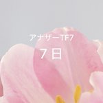 Photo by アナザートランスフォーメーション (@nextransform)