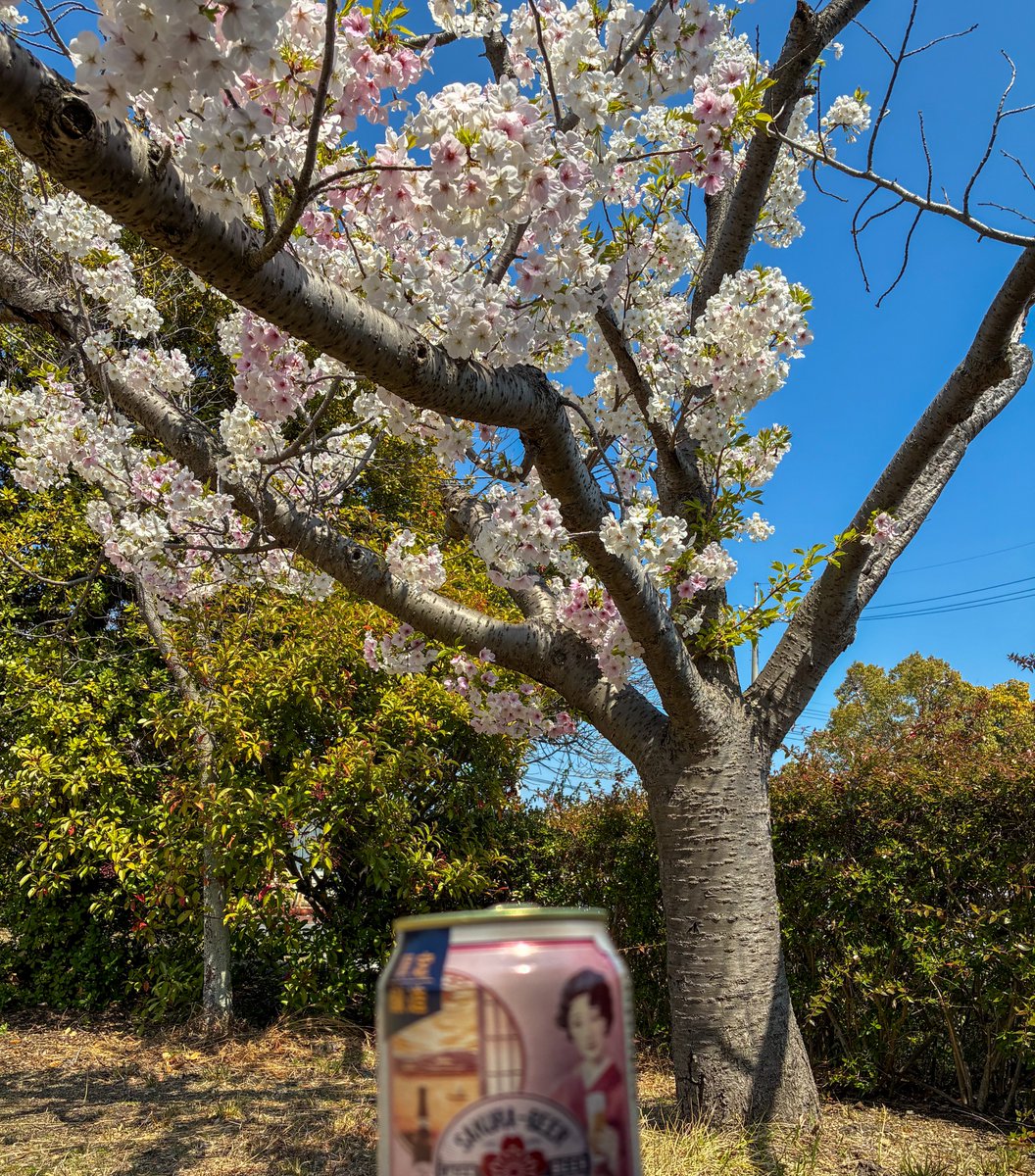 結野セイ tweet media