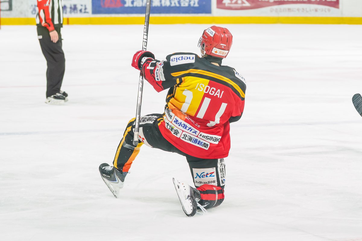 レッドイーグルス北海道 tweet media