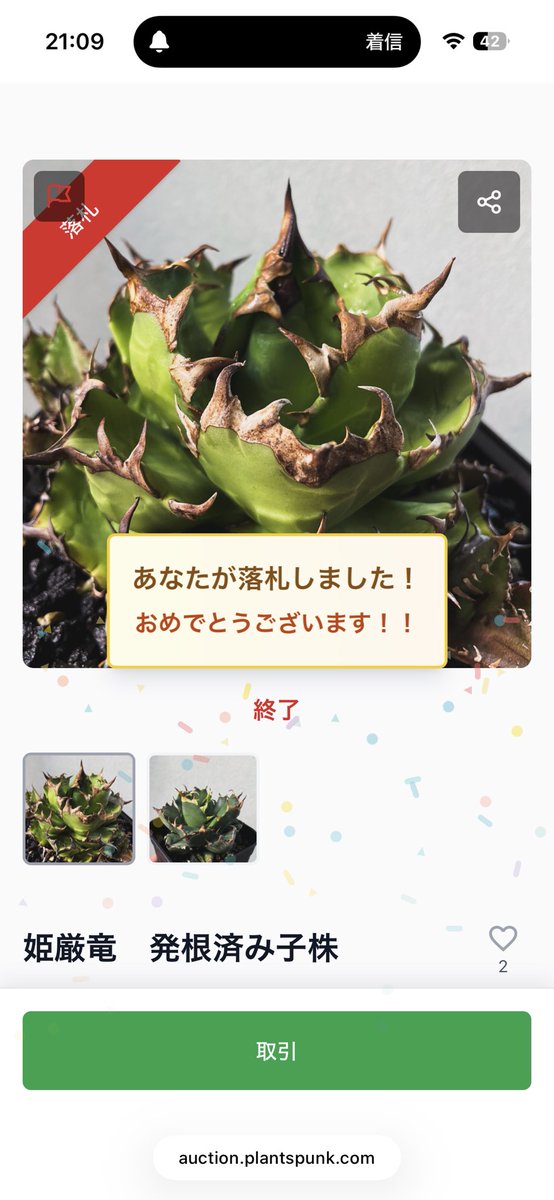 るてん@植物初心者 tweet media