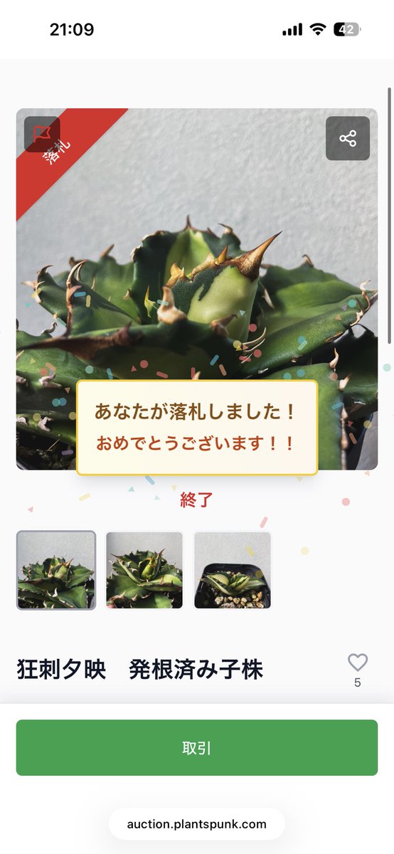 るてん@植物初心者 tweet media