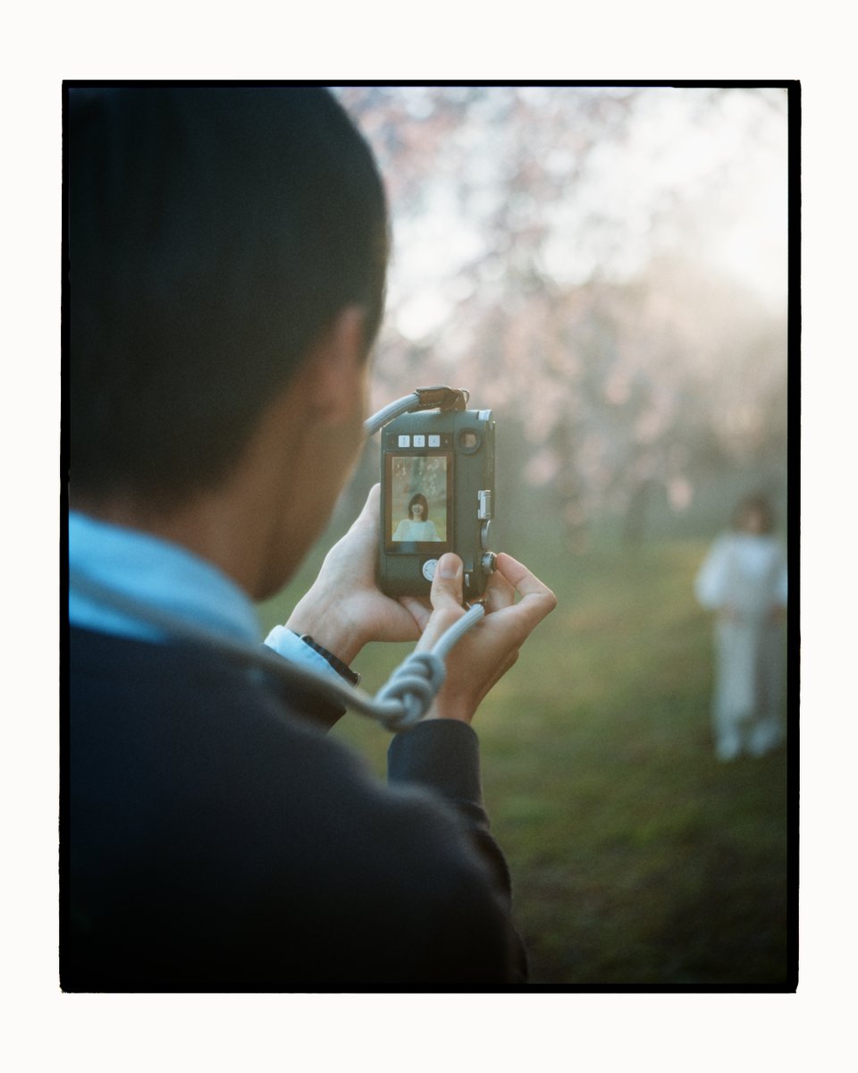 🌲🌲 tweet media