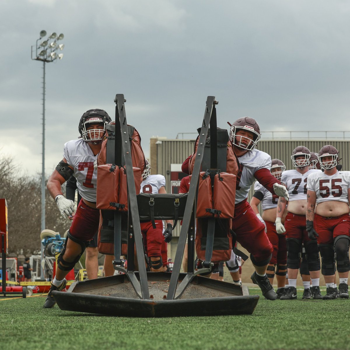 Steven Ciocci tweet media