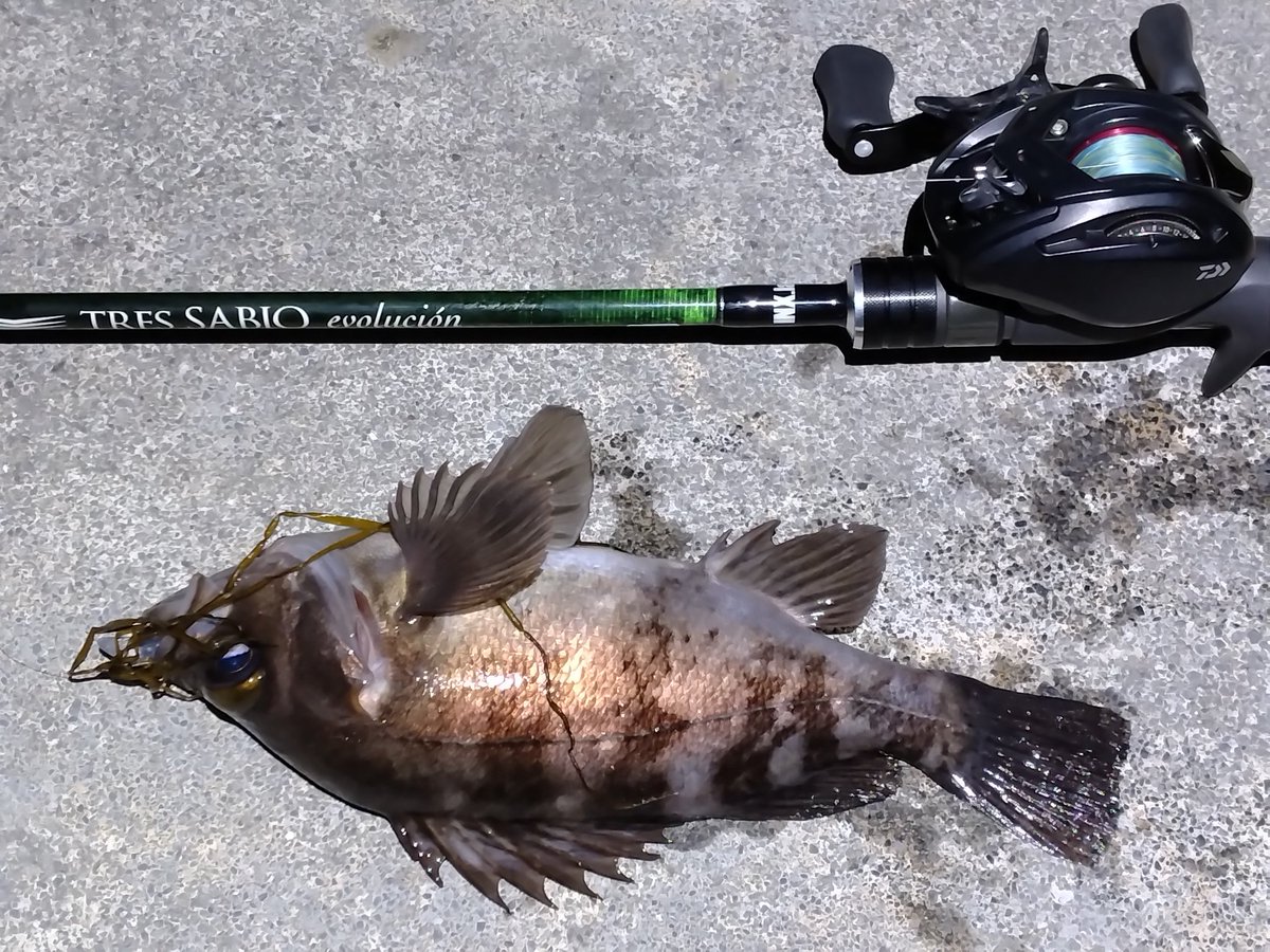 やかん@ライトゲーマー(仮) tweet media