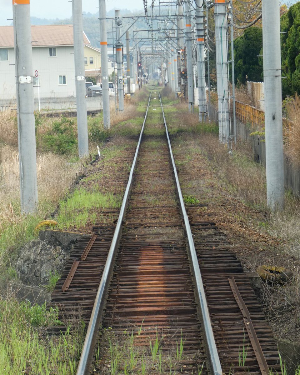 kae1993h's tweet photo. 車窓から。

今度はやたらと電柱が続く線路。

同じ電車でも、通る場所によって
景色がぜんぜん違うのが楽しいです🚃 https://t.co/h4M9ouAjlk