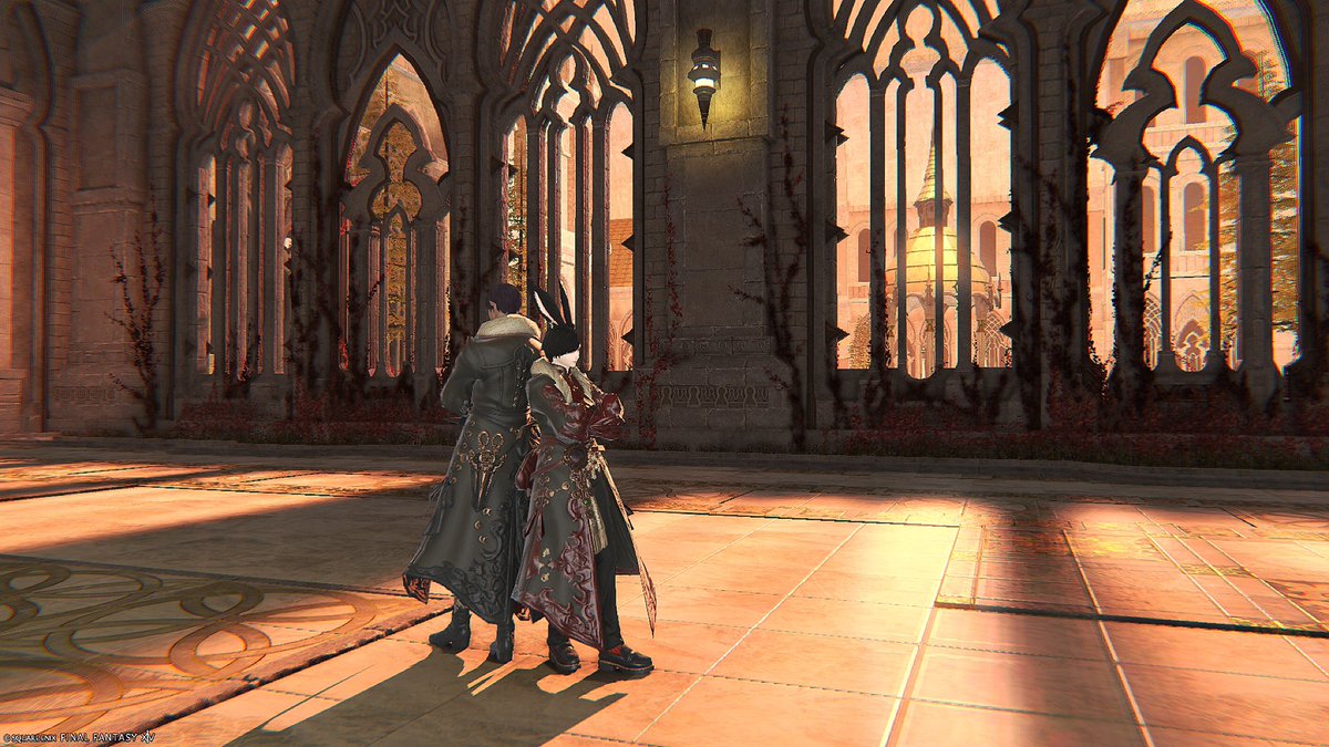 ぴょこ tweet media