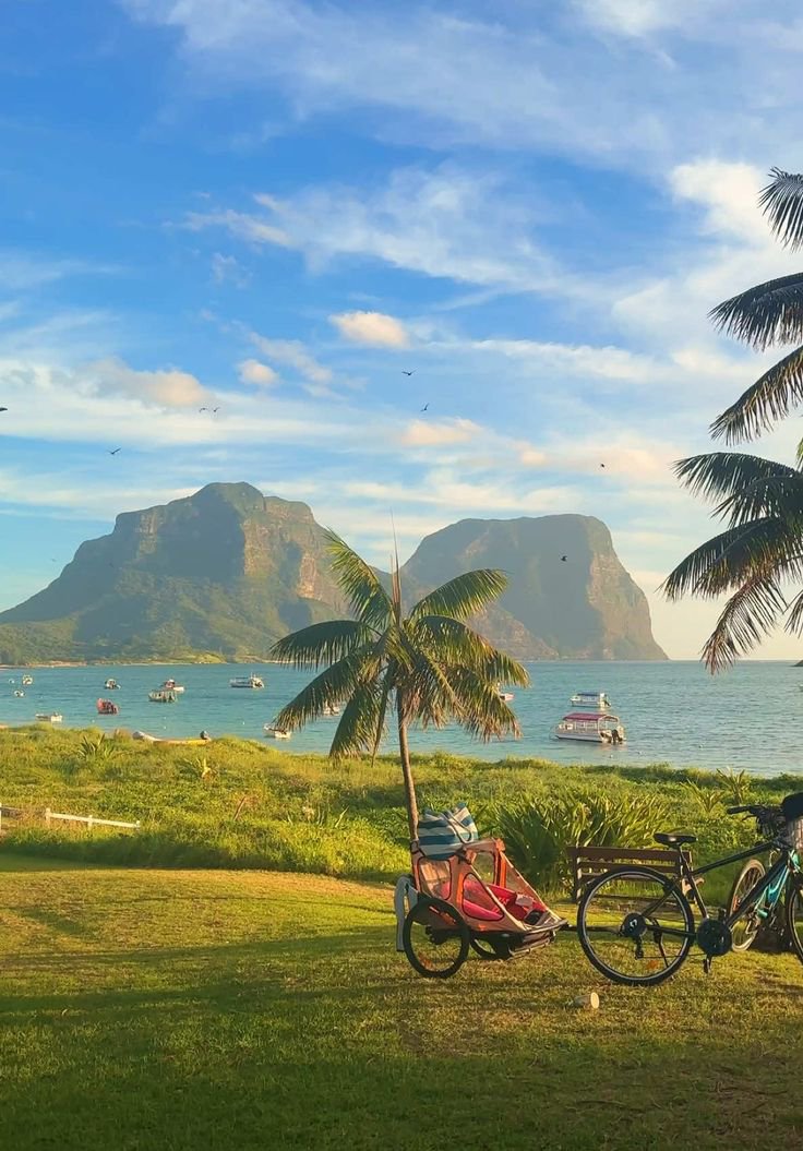 Vibrant Aesthetics tweet media