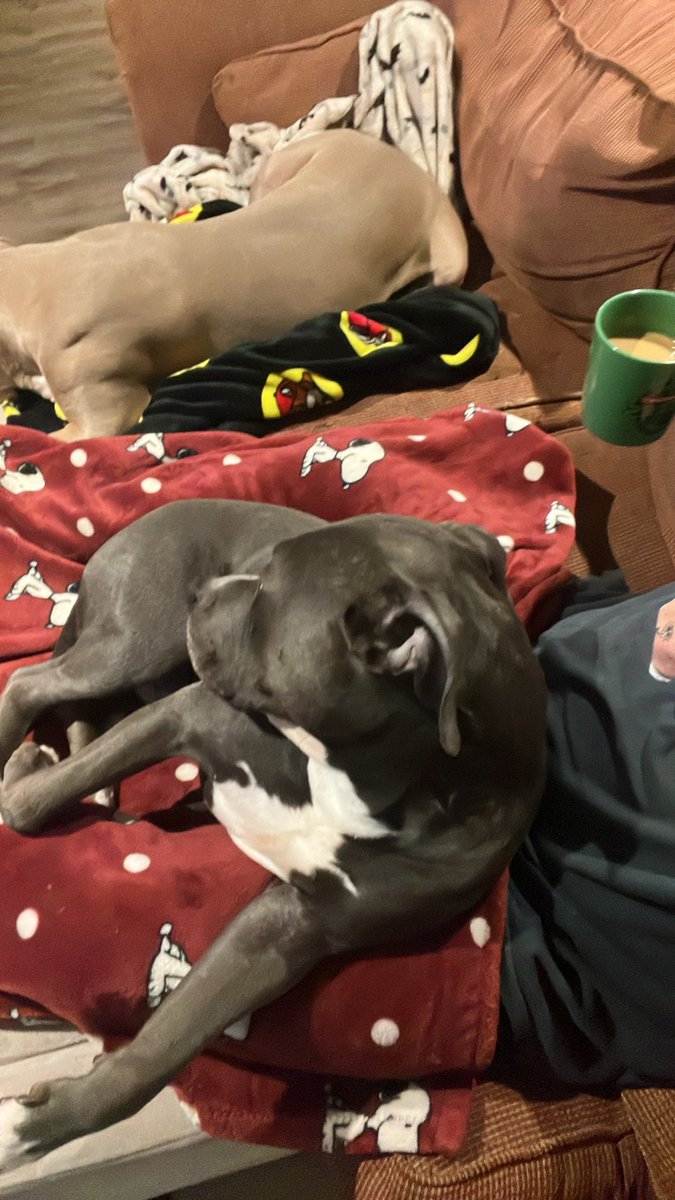 Straight edge Chino Moreno at hooters tweet media