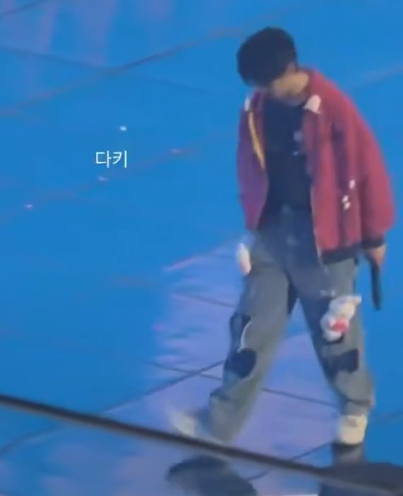 fox ●ᴥ● tweet media