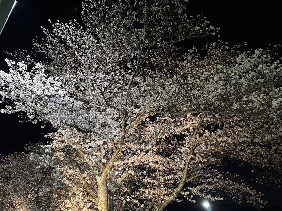 𝓜𝓐𝓡𝓘𝓐 tweet media