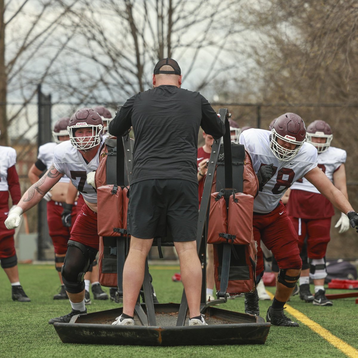 Steven Ciocci tweet media