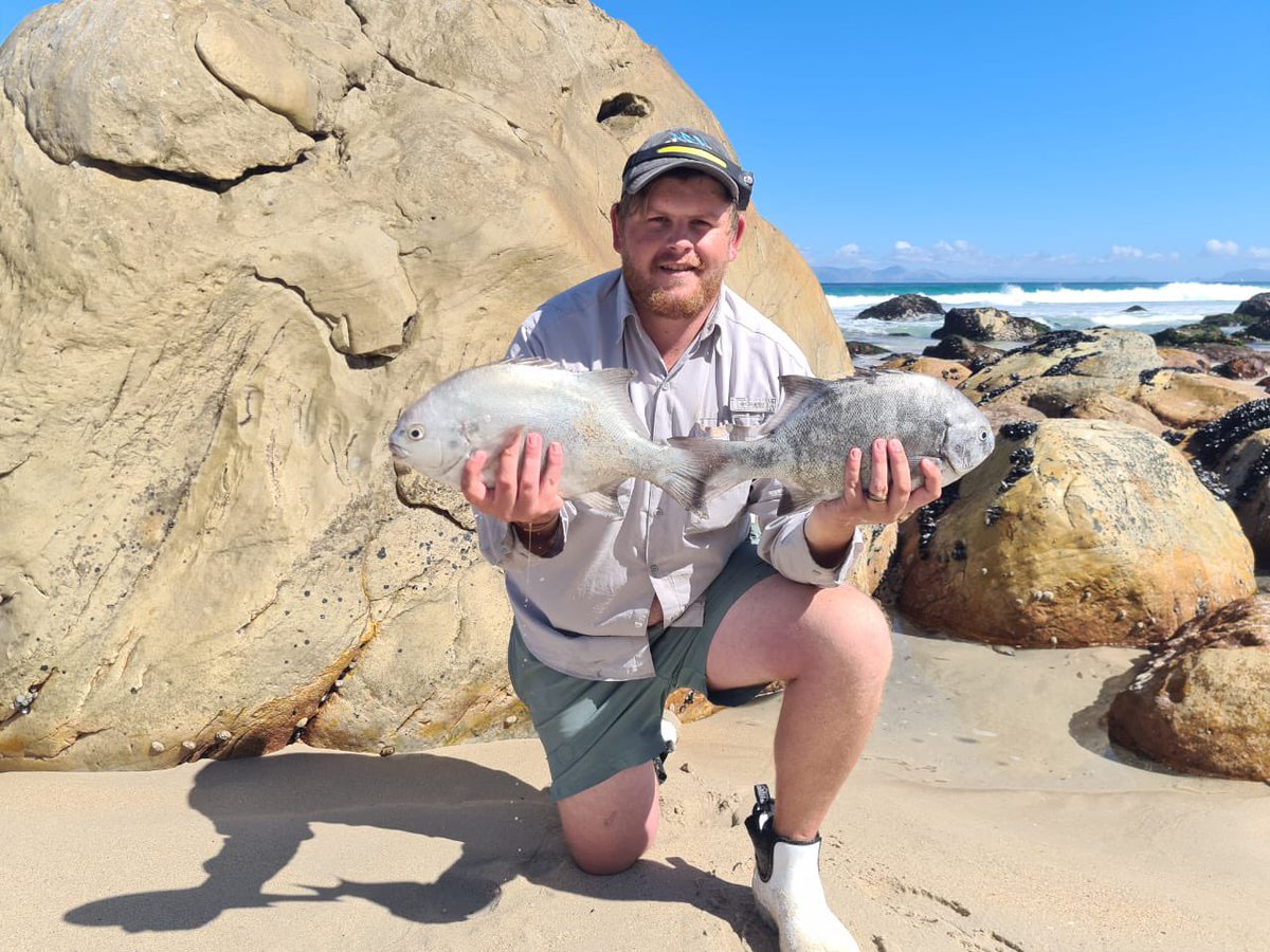 Stephan Brink tweet media