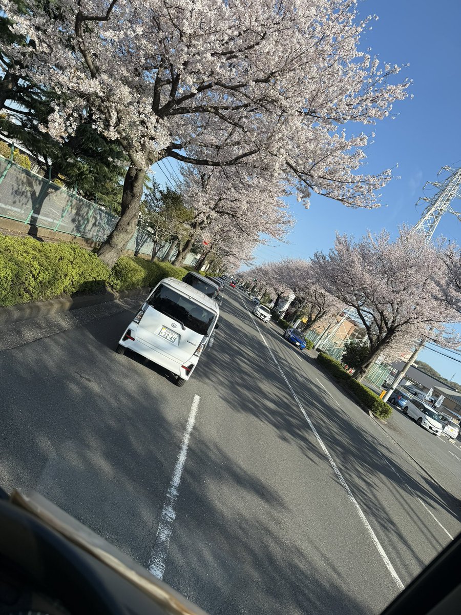 mixwebkzo's tweet photo. 仕事中の車窓からフライデー
#はだのさくらみち https://t.co/tysHcHh2Ex