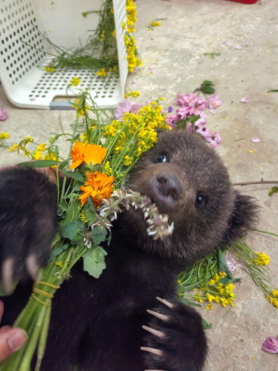 永月弥生 tweet media