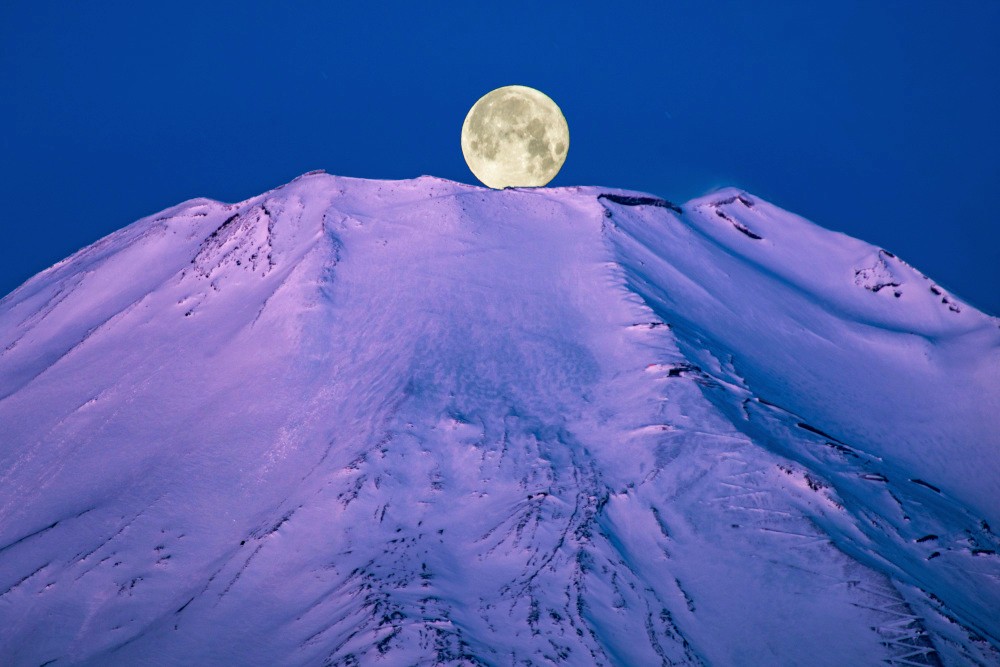 モンセルバン tweet media