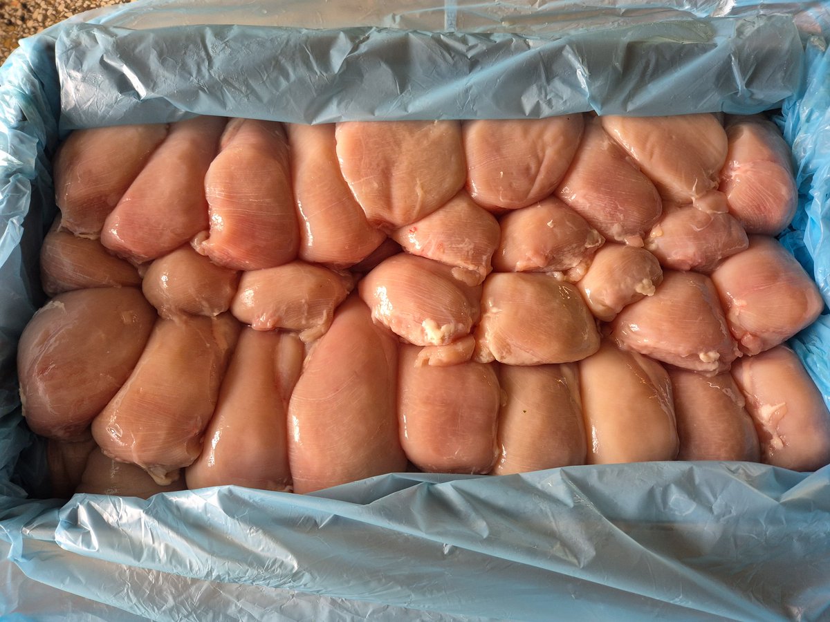 jose veelers 🐐🐐 tweet media