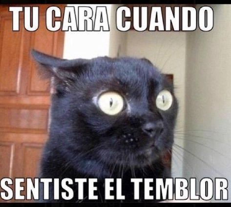 muymariana_ec's tweet photo. Todos despertandonos hoy: https://t.co/A3GHaw3Nnt