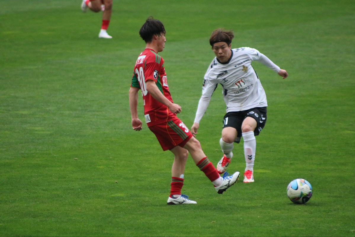 あお🦢 tweet media